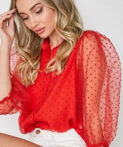 Vine & Love HOLIDAY APPAREL Sheer Organza Dotted Blouse