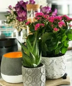 Unplug Soy Candles Home & Beauty JUMBO WHITE DISTRESSED STONE CANDLE- Cranberry