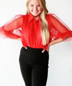 Vine & Love HOLIDAY APPAREL Sheer Organza Dotted Blouse